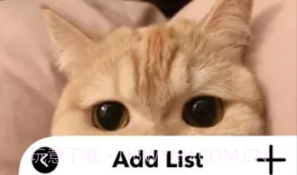 爱猫物语宠物店v1.0.12截图