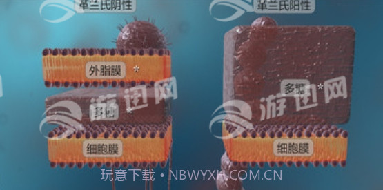 细菌互动教育最新版1.4截图