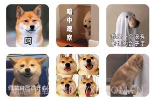斗图聊天表情包制作神器v4.2.18截图