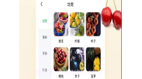 水果图片大全v1.0.20截图