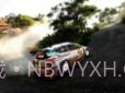 WRC9FIA世界拉力锦标赛v.2.14截图