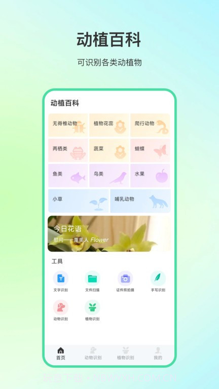 动物百科知识大全无限金币版游戏v4.0.12截图