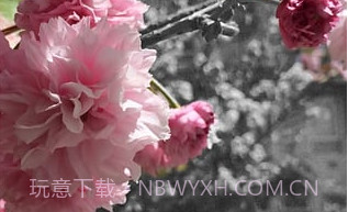 Adobe Photoshop MixV2.8.12截图