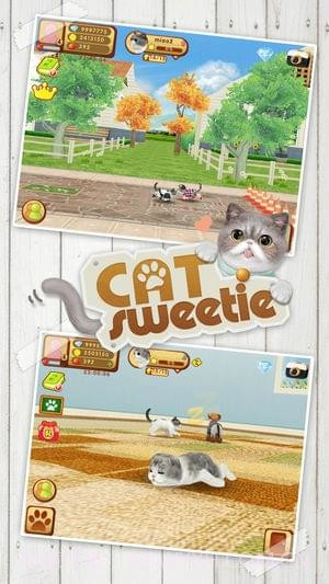 心动小猫免费版1.4截图