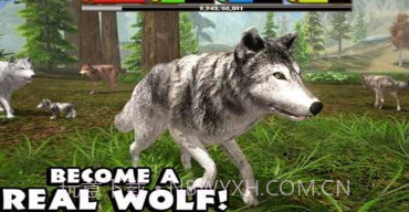 灰狼模拟器2v1.1.15截图