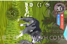 3D动物模拟器v13.17截图