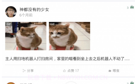 养猫圈v1.0.21截图