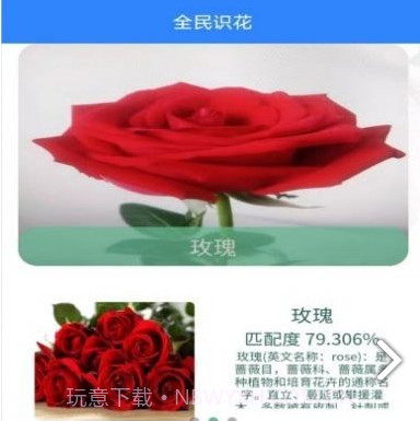 全民识花v3.1.18截图