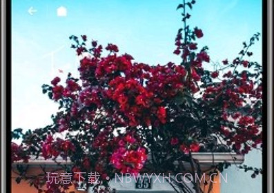 纸塘壁纸高级版v1.6.23截图