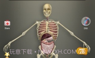 放置人类2v1.0.17截图