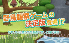 小鸟观察器V3.1.17截图