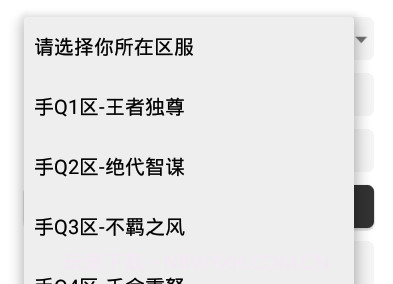 王者任意充值v2.17截图