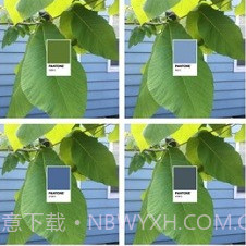 pantonev1.7.18截图