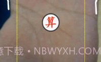 手相大师v1.14截图