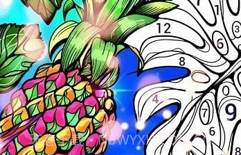 填色大师v2.5.16截图