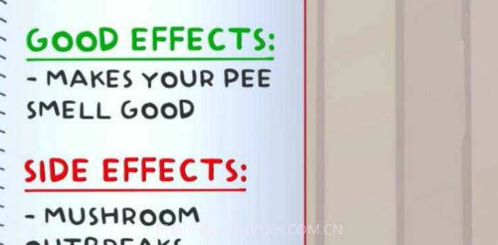 疯狂药片v1.14截图