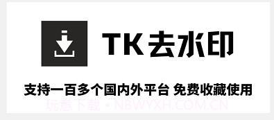 tk去水印v1.0.19截图