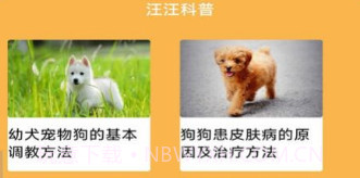 旺旺历险记v1.17截图