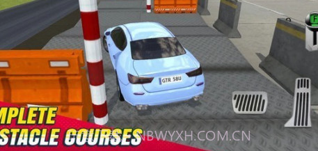 模拟驾驶挑战赛v1.23截图