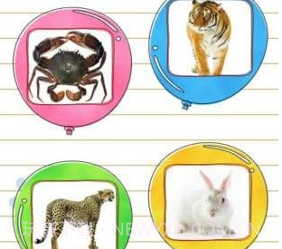 儿童学动物乐园v2.24截图