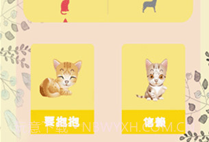 猫语器v3.19截图