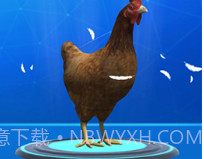 疯狂压路鸡v1.16截图