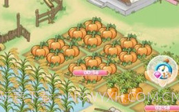 悠悠人生v1.0.14截图