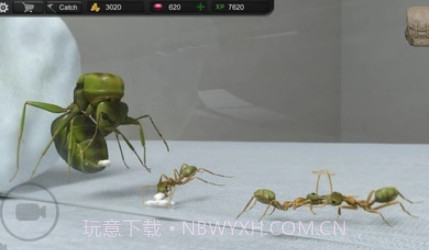 蚂蚁模拟大亨v2鐎瑰宕渧1.16截图