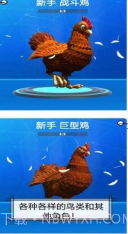 鸡你真溜v1.0.22截图