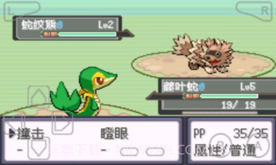 口袋妖怪漆黑的魅影v6.0.19截图