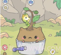我的猫盆栽v0.1.28截图