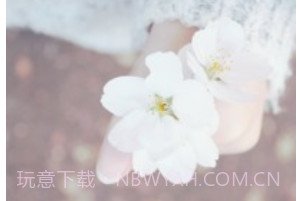 Rainbowv1.3.17截图