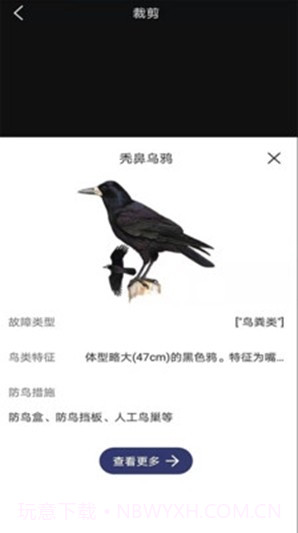 图音识鸟2.0.20截图