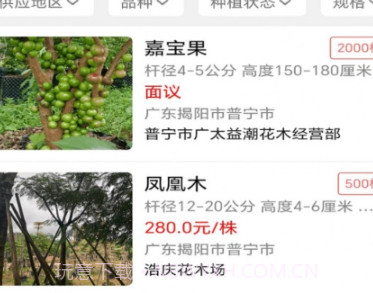 点苗报价v1.0.20截图