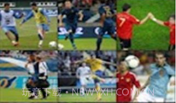 fifa12欧洲杯2012v1.8.22截图