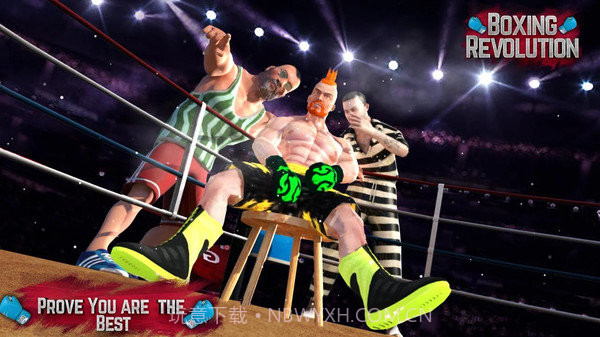 拳击革命2019v1.22截图
