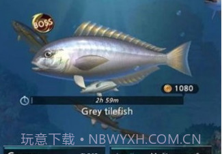 钓鱼胡克中文v1.22截图