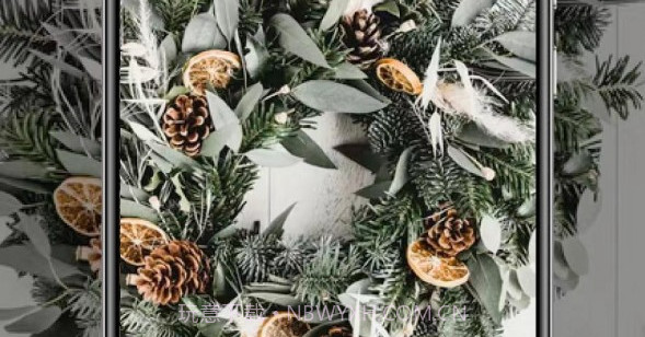 哈图壁纸v1.23截图