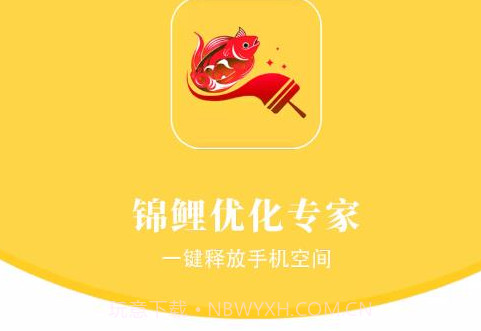 锦鲤优化专家v1.0.21截图