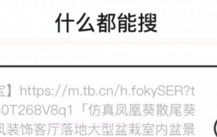 什么都能搜v1.0.0.26截图