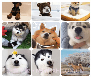 高清口袋壁纸v1.26截图