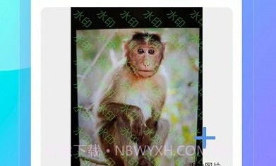 妙巧盒子v1.0.26截图