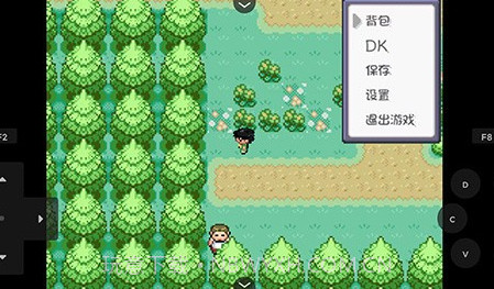 口袋妖怪燃之智v4.0.24截图