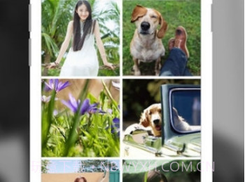 兔美美下载(兔美美美女写真集下载)V1.1 安卓中文版V1.22截图