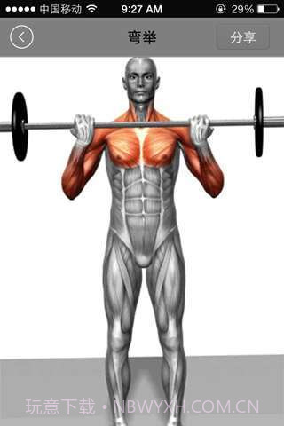 健美宝典截图2 健美宝典截图2