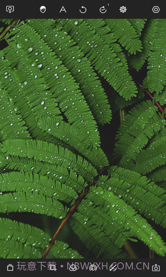 泼辣修图截图3 泼辣修图截图3