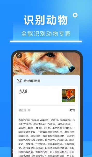 超速扫描大师截图1 超速扫描大师截图1