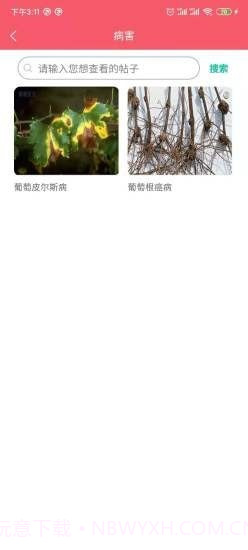 樱桃医生截图4 樱桃医生截图4