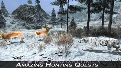 北极虎模拟器官方版截图4 北极虎模拟器官方版截图4