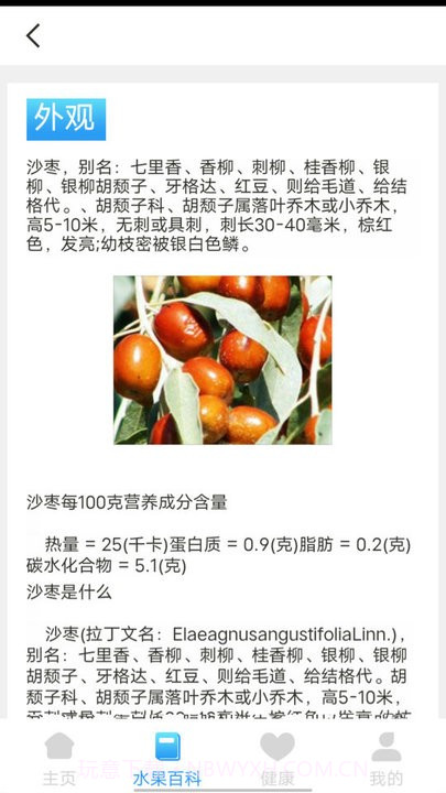 口袋水果知识科普截图3